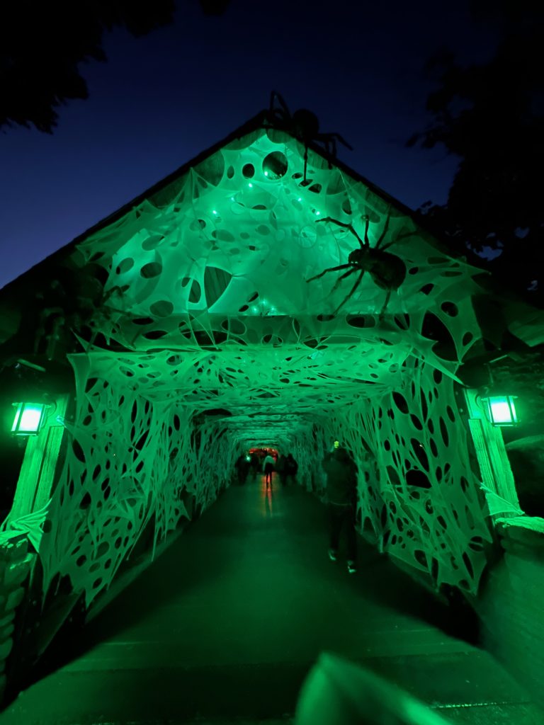 Spider bridge, Howl-O-Scream Williamsburg