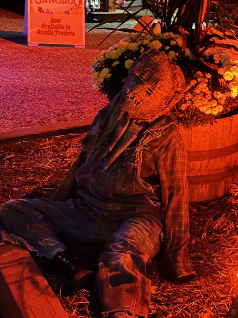 Living Scarecrow Howl-o-Scream