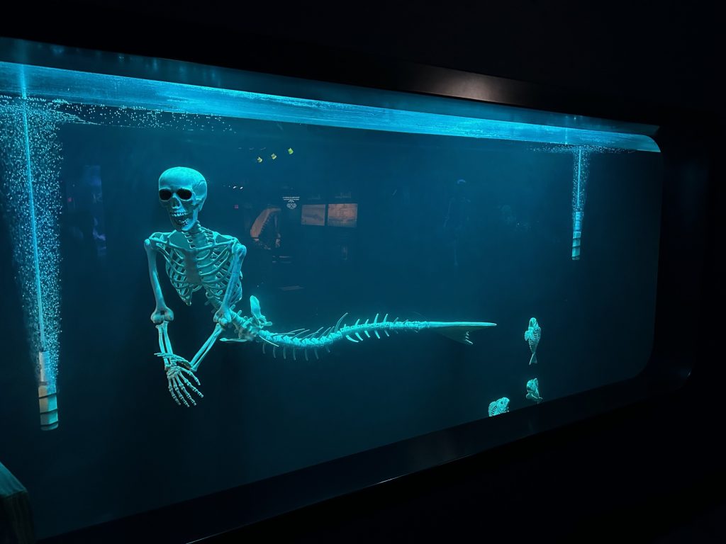 Spooky Seas at NC Aquarium at Fort Fisher
