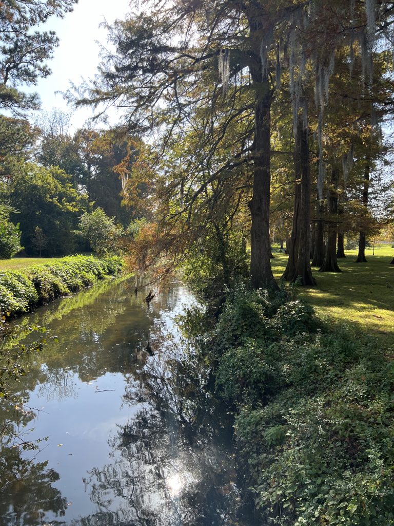 The creek at Wallace Park where Michael Myers stalked people