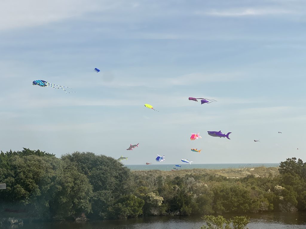 Cape Fear Kite Festival as seen from the NC Aquarium
